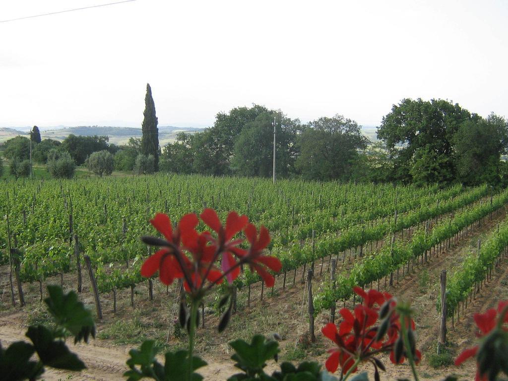 Antico Podere La Martinella San Quirico d'Orcia Exterior photo